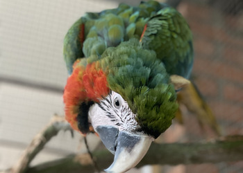 Cześć, jestem HUGO!